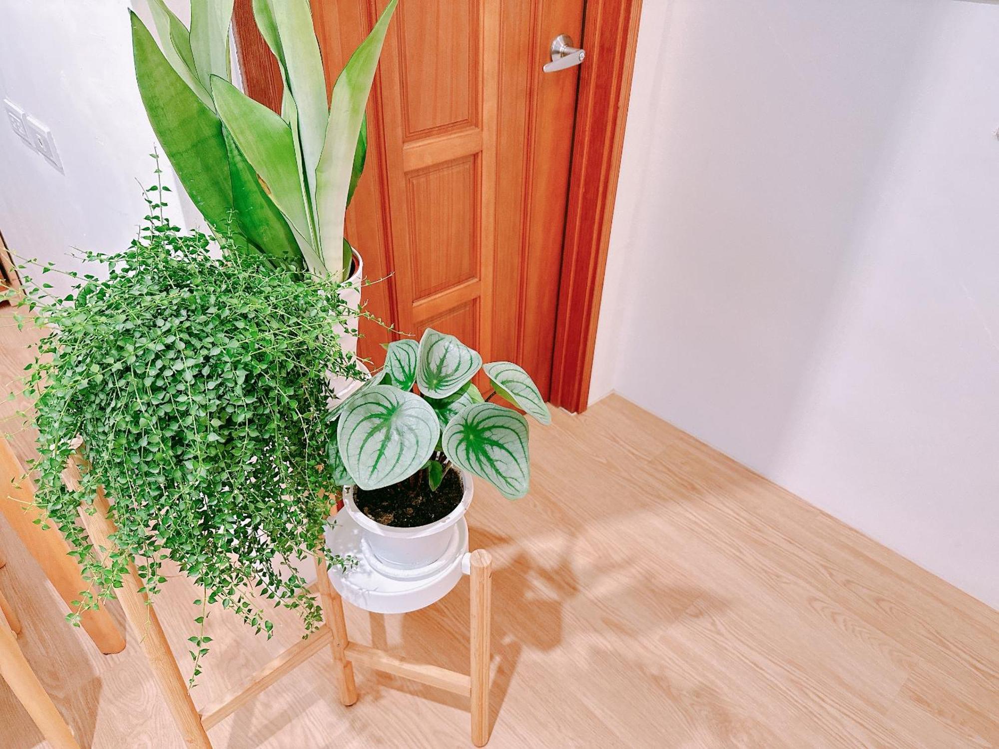Gardenstay La Đông Ngoại thất bức ảnh
